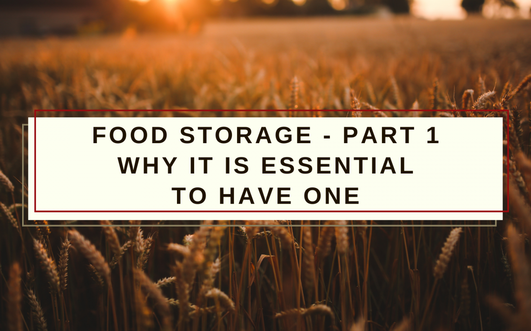 Food Storage – Part 1: Why it is essential to have one!