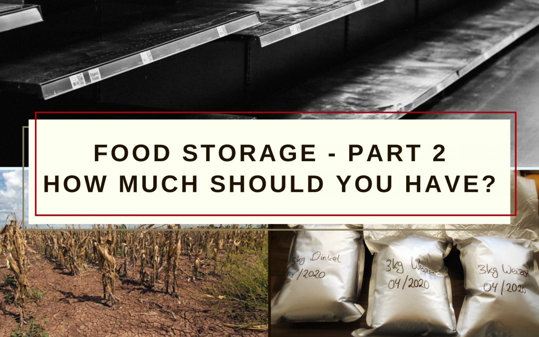 Food Storage – Part 2: How much should you have?