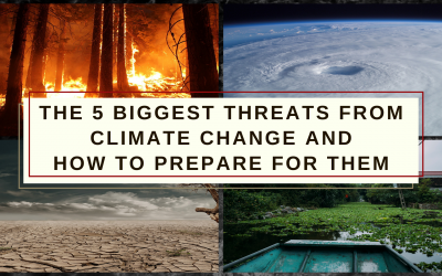 The 5 Biggest Imminent Threats from Climate Change – and How to Prepare for Them